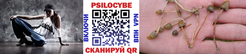 купить наркотик  Енисейск  Псилоцибиновые грибы прущие грибы 